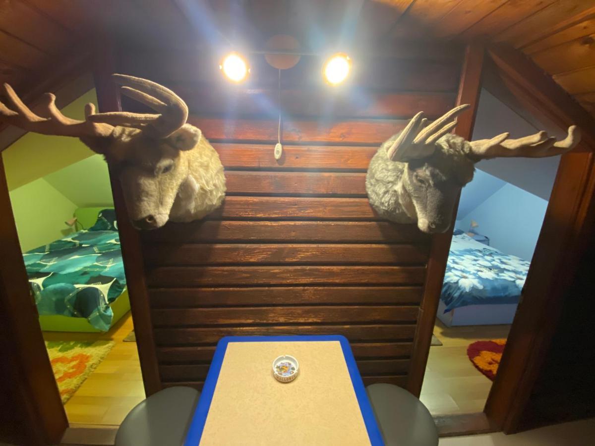Cabana Cu Teren De Tenis -- Etaj Banica Kültér fotó