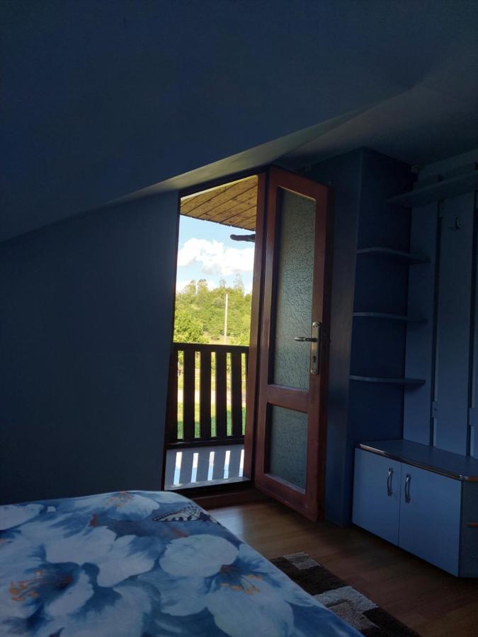 Cabana Cu Teren De Tenis -- Etaj Banica Kültér fotó