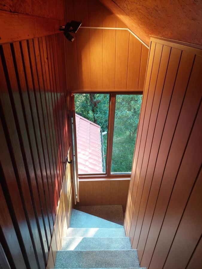 Cabana Cu Teren De Tenis -- Etaj Banica Kültér fotó
