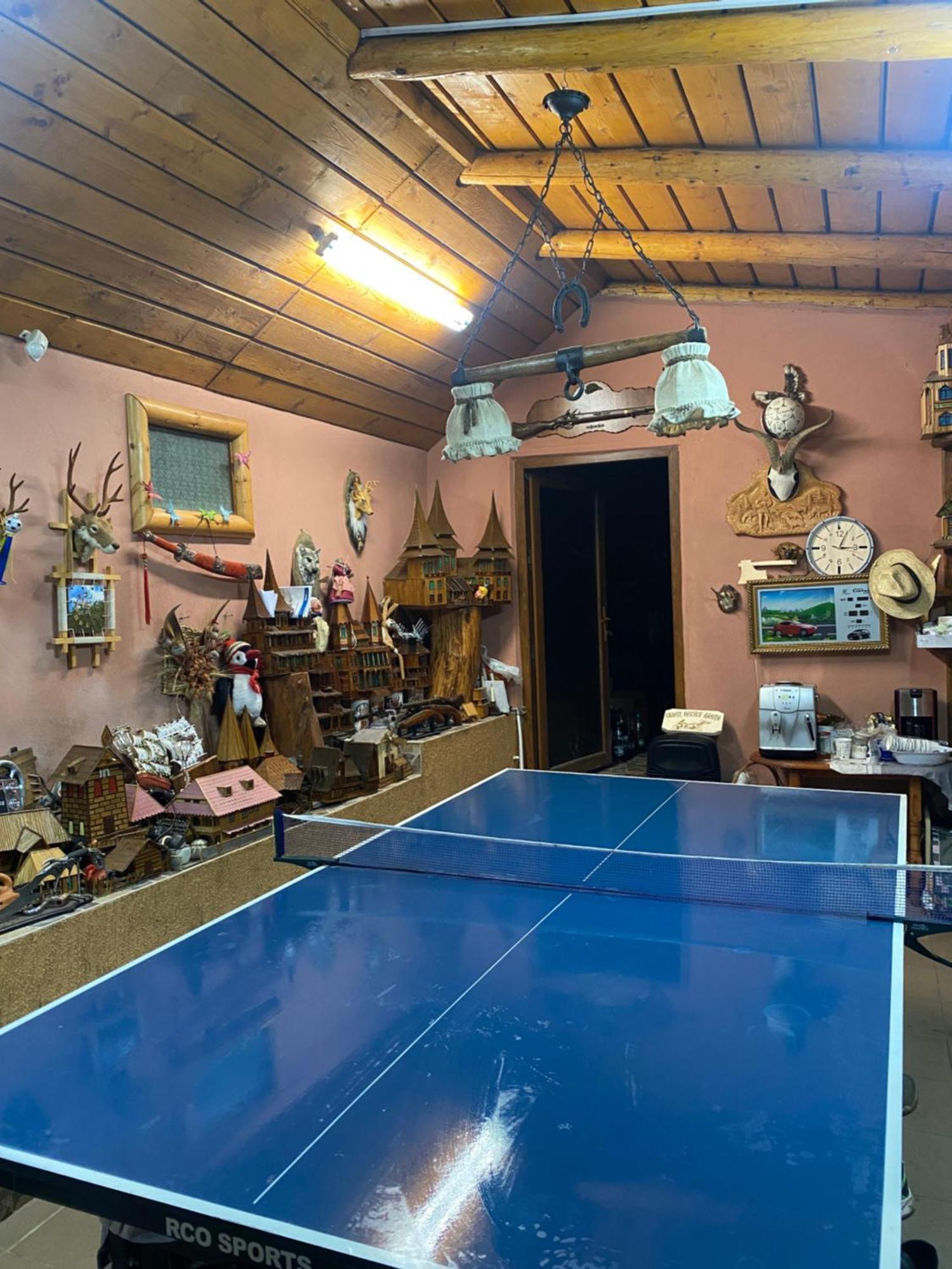 Cabana Cu Teren De Tenis -- Etaj Banica Kültér fotó